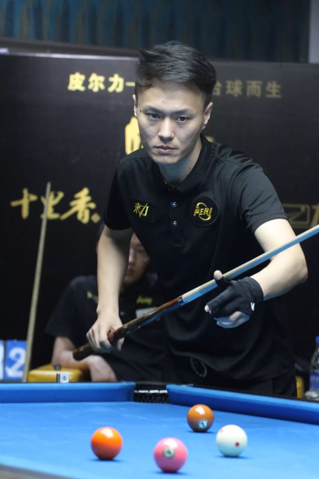 西班牙的皇 西班牙的皇